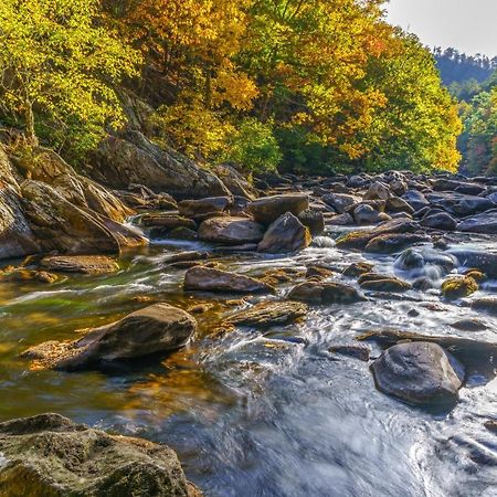 Appartamento Bear Cub Retreat Gatlinburg Esterno foto