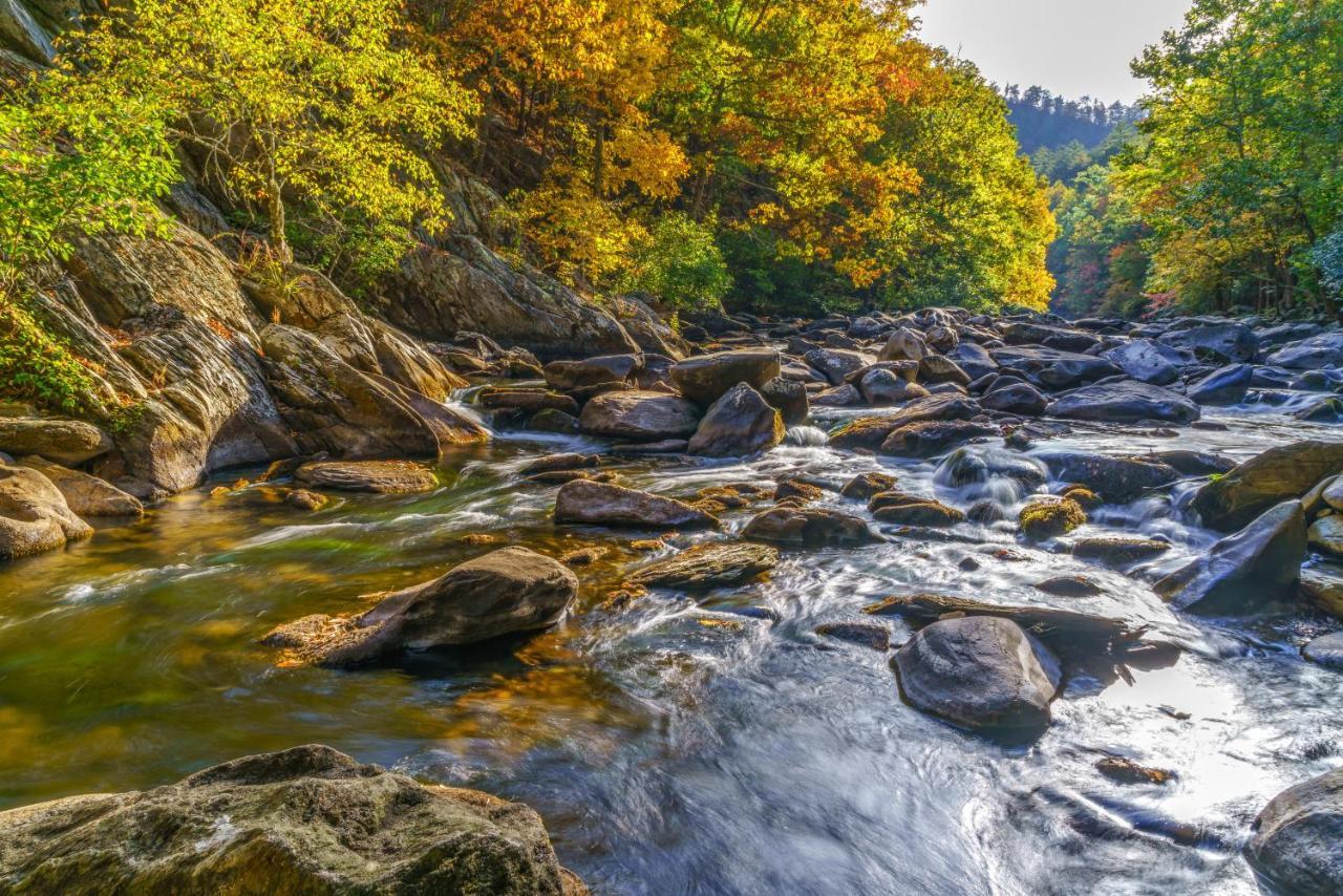 Appartamento Bear Cub Retreat Gatlinburg Esterno foto