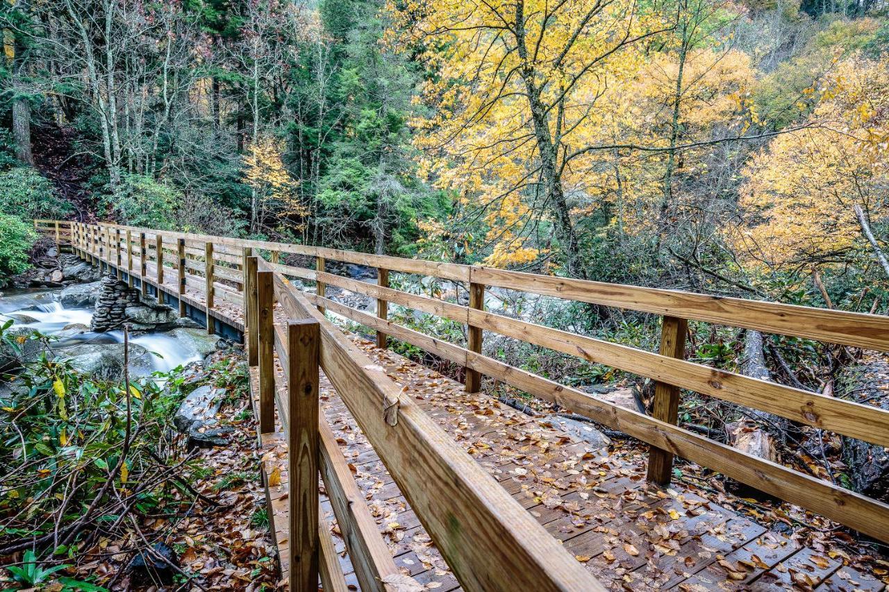 Appartamento Bear Cub Retreat Gatlinburg Esterno foto